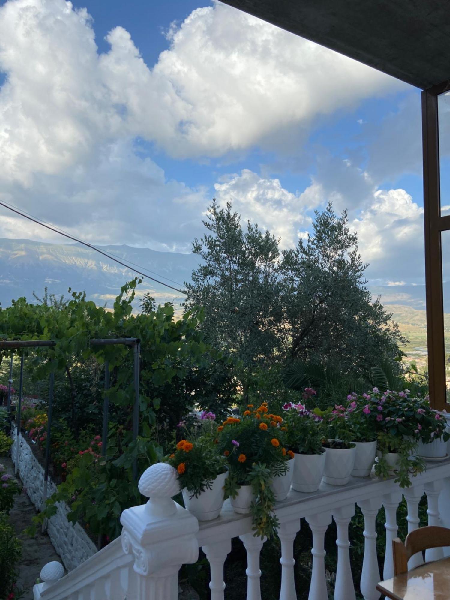 Stonetale Garden Guesthouse Gjirokaster Bagian luar foto